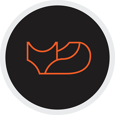 Fox__Lion_Logo_Bug_Charcoal