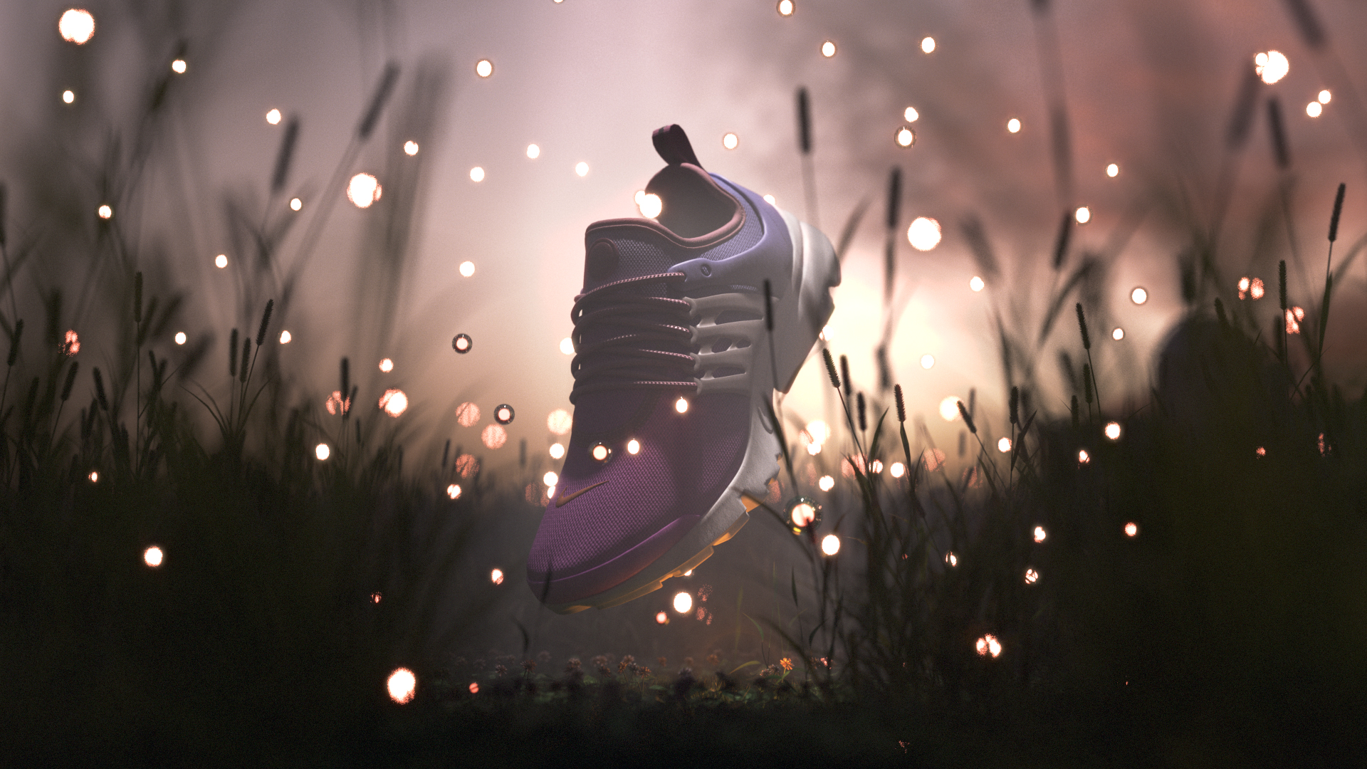 Nike_Shoe_Sample_Image